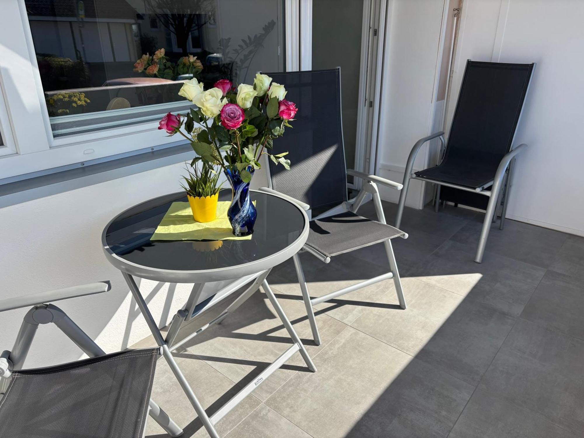Apartment Saur Immenstaad am Bodensee